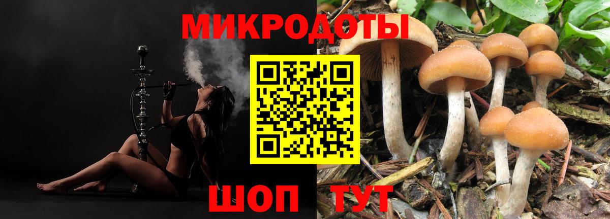 Псилоцибиновые грибы Magic Shrooms Пенза